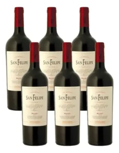 Vino San Felipe Malbec - Caja X6